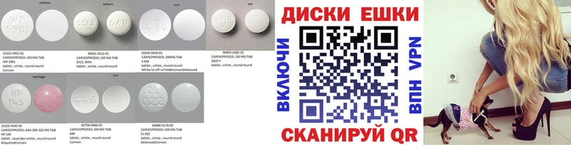 Купить где  Благодарный  Ecstasy Philipp Plein 