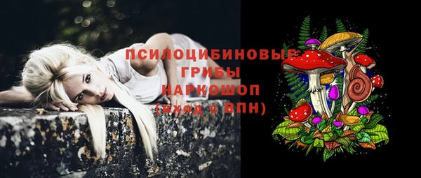 каннабис Корсаков