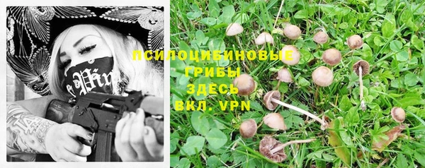 a pvp Красноперекопск
